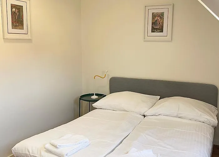 Cozy Atmos 公寓 布拉格
